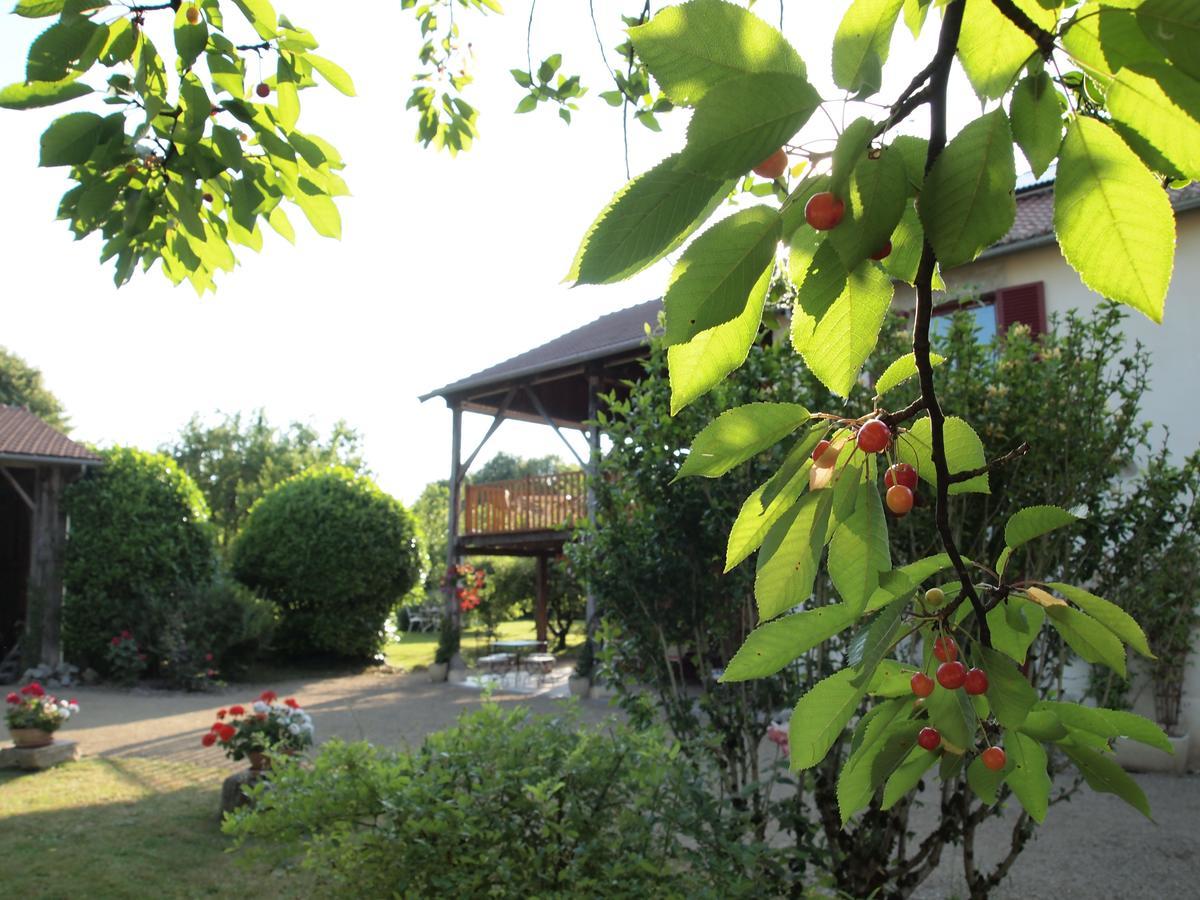 Les Jardins De Lily Hotel Saint-Léonard-de-Noblat Exterior foto